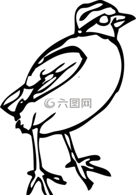 鳥,小雞,窺視
