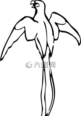 鸚鵡,鳥,飛行