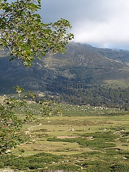 景觀,高原,谷