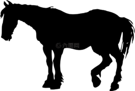 馬,側(cè)影,動(dòng)物