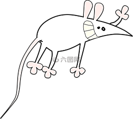 鼠标,小,灭鼠