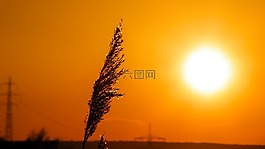 景觀,日落,黃昏