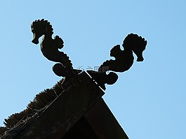 hiddensee,波羅的海,島