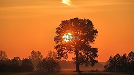 景觀,日落,黃昏