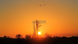 景觀,日落,黃昏