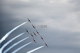 加拿大,雪鳥,飛行