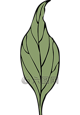 葉,植物,植被