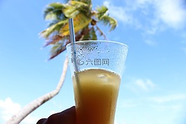 棕榈,喝,软性饮料