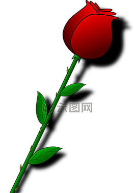 玫瑰,紅色,花