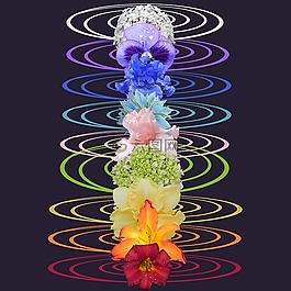 脈輪,精神,花