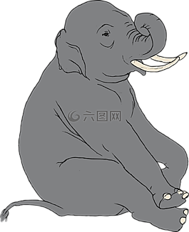 象,印度,動(dòng)物