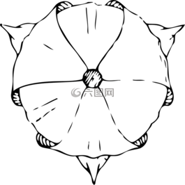 郁金香,返回頁首,查看