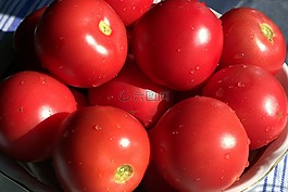 西紅柿,紅色,成熟的