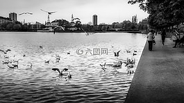 哥本哈根,丹麥,城市