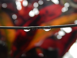 電線,濕,雨