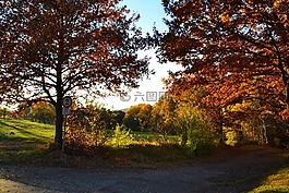 秋天,燈罩,秋
