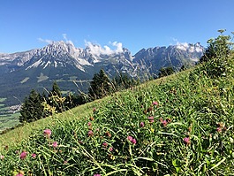 山,高山,山景观