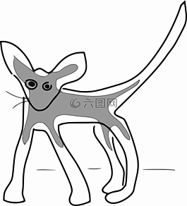 小貓,寵物,動物