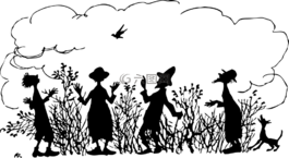 黑,天空,鳥