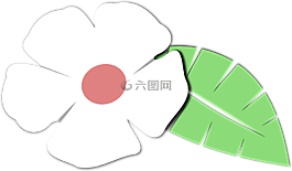 花,葉,植物