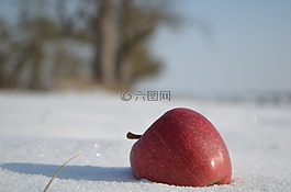 蘋果,冬天,雪