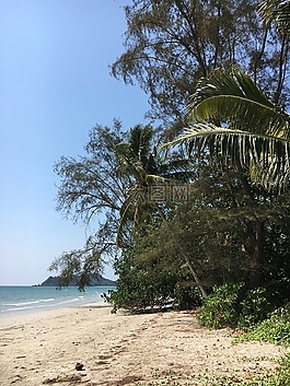 亞洲,泰國,象島