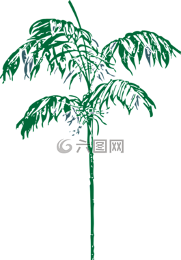 棕櫚,樹,裝飾