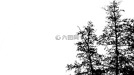 樹木,森林,審美