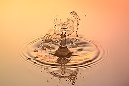 滴,水,一滴水