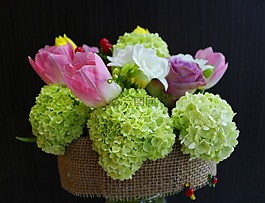 鮮花,安排,花的