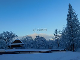 冬天,似雪,景觀