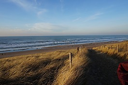 太陽,海,海灘