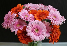 花,粉红色,橙色