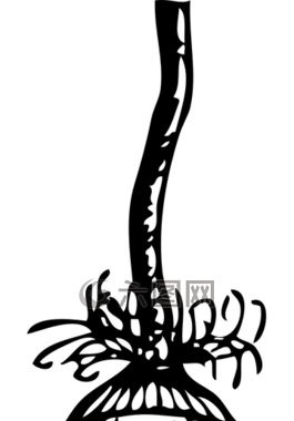 插頭,電氣,能源