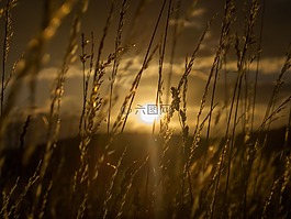 日落,天 s,落山的太陽