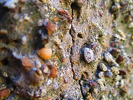 墻,石頭,裂縫