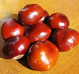 食品,板栗,堅(jiān)果