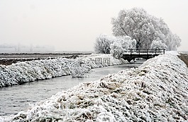 景觀,冬天,場