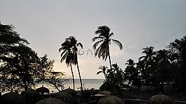 帕爾馬斯,海灘,日落