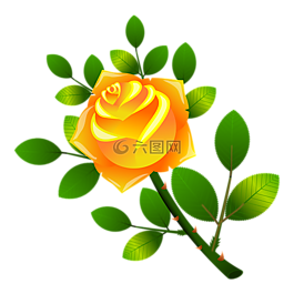 玫瑰,鮮花,花卉
