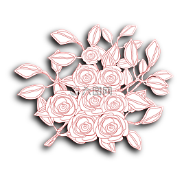 玫瑰,鮮花,花卉
