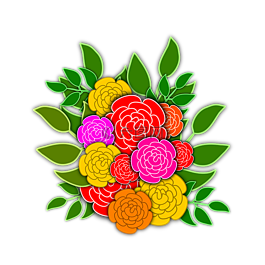 玫瑰,鮮花,花卉