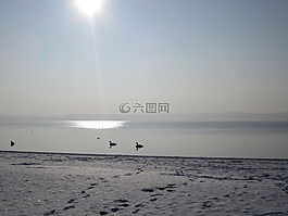 夏季,海,太陽