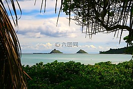 海洋,天堂,景觀