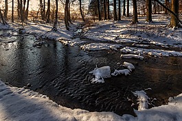 waldsee,夕阳,水