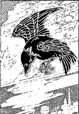 烏鴉,飛行,鳥