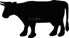 牛,側(cè)影,動物