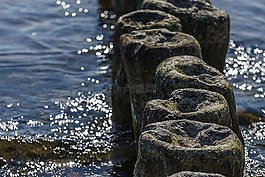 壩,海,波羅的海