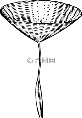種子,山羊,植物