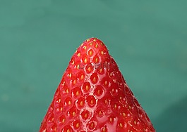 草莓,水果,紅色